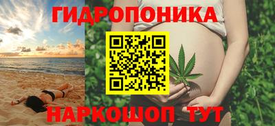 скорость Гатчина