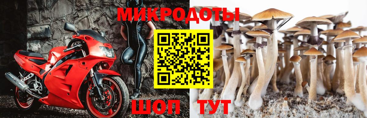 Галлюциногенные грибы ЛСД  Псилоцибиновые грибы мицелий  Москва  Вход с VPN 